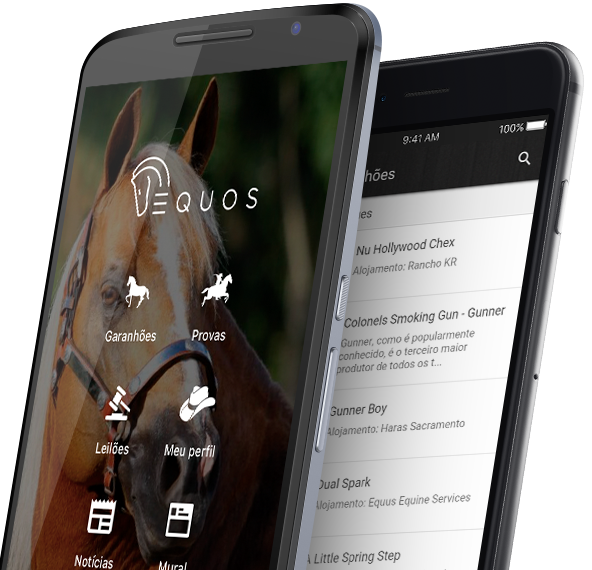 Equos Screenshot