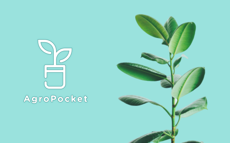 AgroPocket – O seu agro no bolso